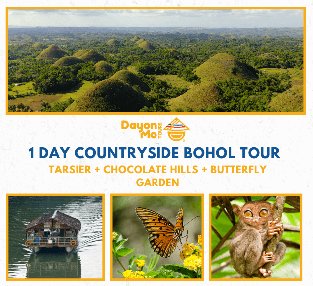 bohol countryside tour rate
