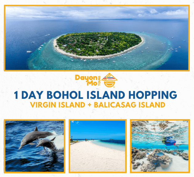 1 Day Bohol Tour (Dolphin Watching and Island Hopping)