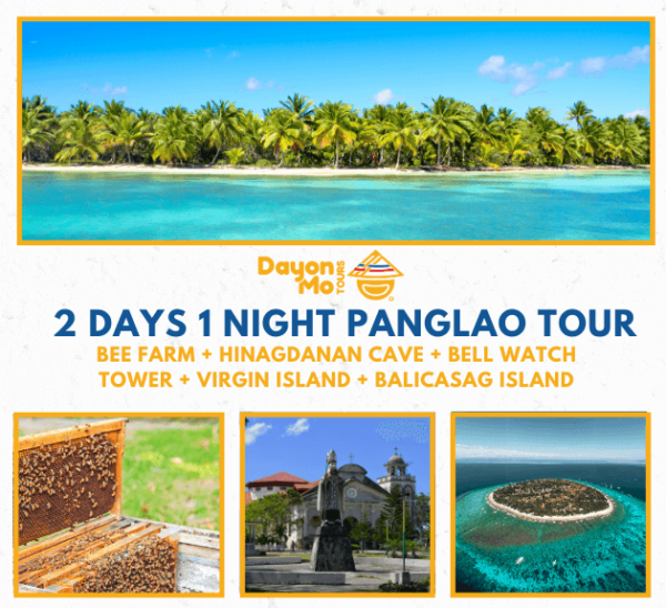 2 Days & 1 Night Bohol Tour (Countryside Tour + Dolphin Watching And ...