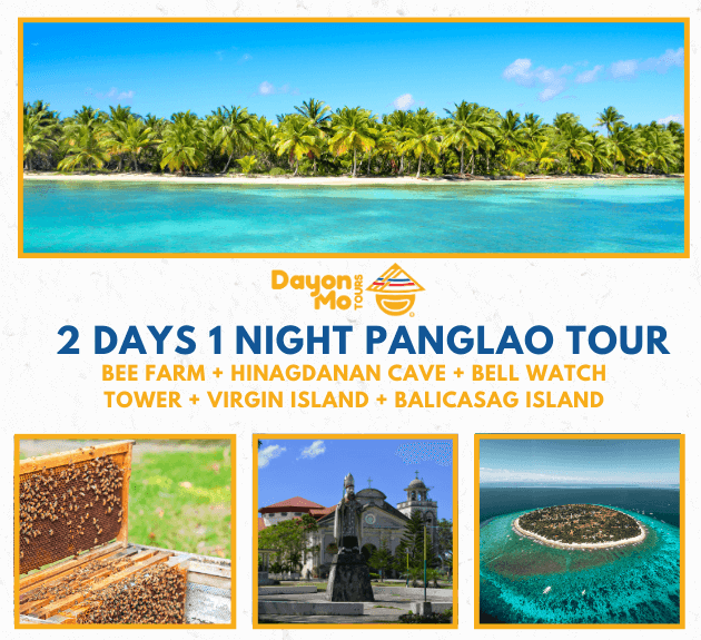 2 Days & 1 Night Bohol Tour (Countryside Tour + Dolphin Watching And Island Hopping)