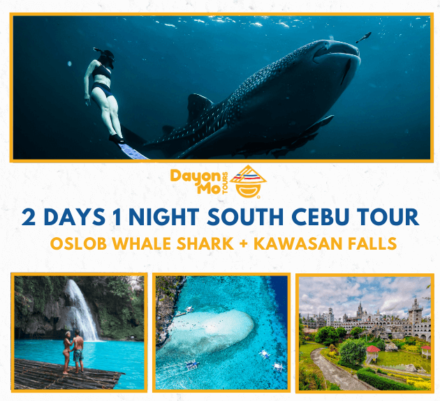 2 Days & 1 Night South Cebu (Oslob Whale Shark + Kawasan Falls))