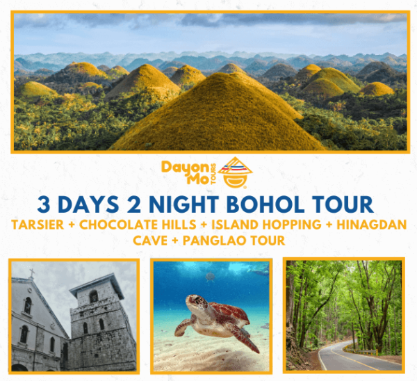 3 Days & 2 Nights Bohol Tour (Countryside Tour + Dolphin Watching and ...