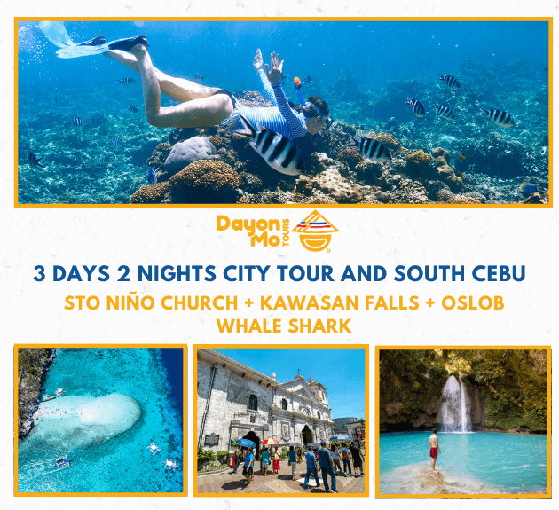 3 Days & 2 Nights Cebu Tour (City Tour + Moalboal + Oslob Whale Shark)